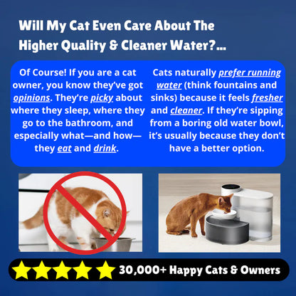 Smart Water Fountain | No Filters Needed