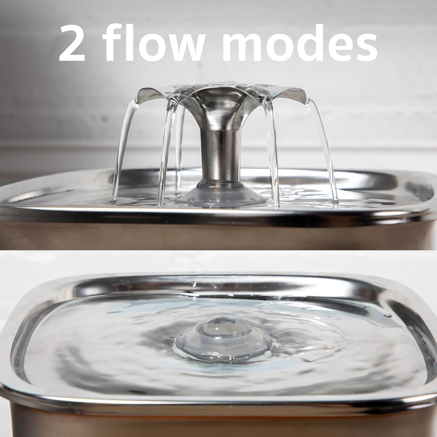 Add Years to Your Cat's Life with Solara's Triple-Filtration System