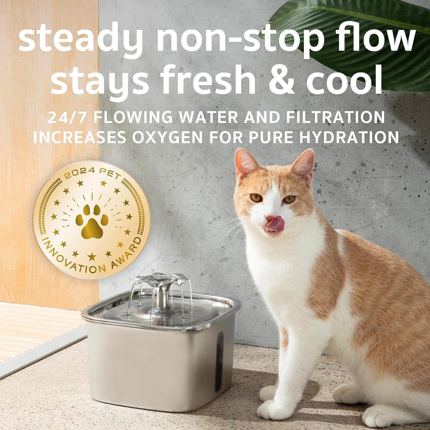 Add Years to Your Cat's Life with Solara's Triple-Filtration System
