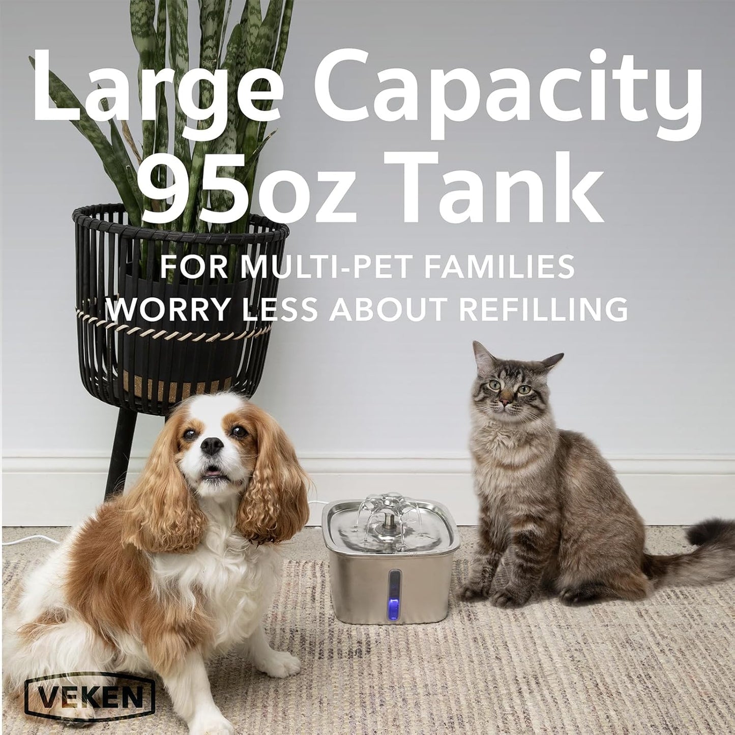Add Years to Your Cat's Life with Solara's Triple-Filtration System