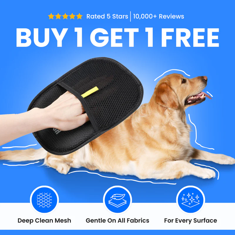🐾 PetPal™ - #1 Best-Selling Pet Cleaning Glove