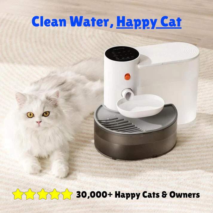 Smart Water Fountain | No Filters Needed