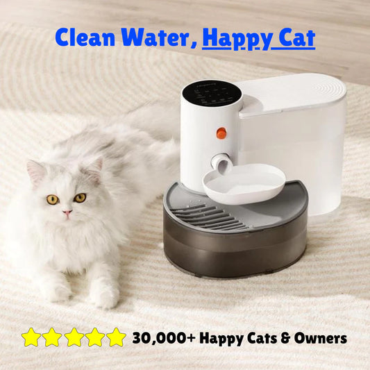 Smart Water Fountain | No Filters Needed